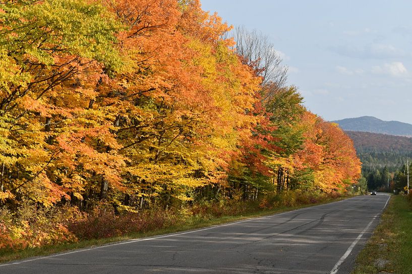 A country road in autumn under blue skies by Claude Laprise