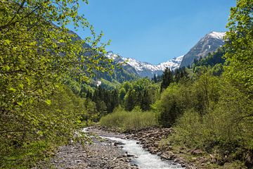 trettach rivier in lente landschap, bij Oberstdorf, allgau alpen van SusaZoom