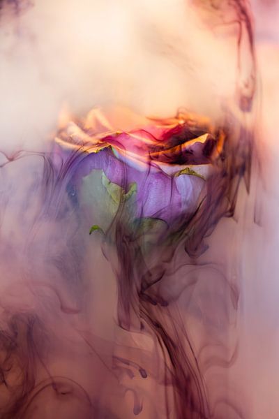 Vintage-Rose unter Wasser von Patricia van Kuik