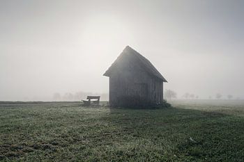 Ein Platz im Nebel
