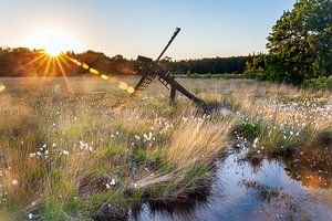 Sonnenuntergang Grollooërveen, Drenthe