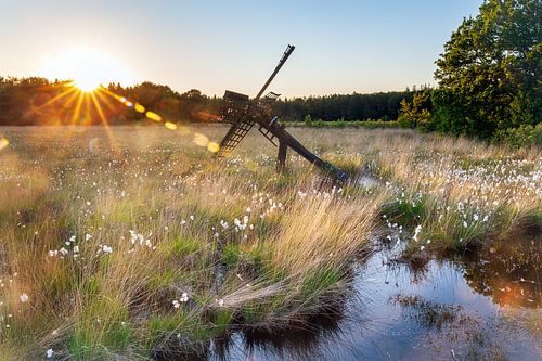 Sunset Grollooërveen Drenthe