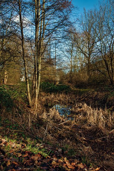 Het moeras. van Elbkind89