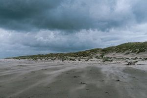 Plage De Cocksdorp Texel sur Suzanne Spijkers