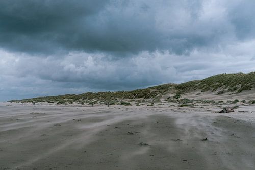 Strand De Cocksdorp Texel