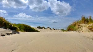 Voetstappen in het zand in de duinen van Terschelling