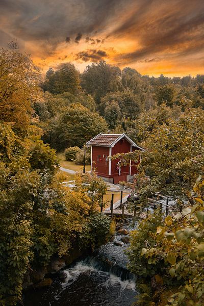 Fruit trees by a stream with a small bridge in front of a red wooden house in Sweden. by Martin Köbsch