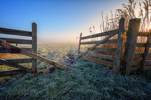 Hollandse polder bij zonsopkomst na een koude nacht