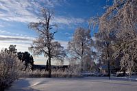 Blauwe lucht