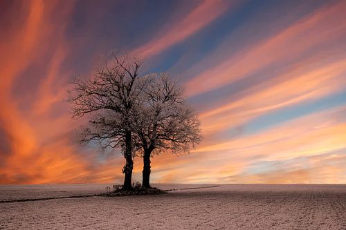Zonsopkomst bij een winters landschap.