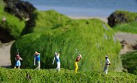 Driving Range