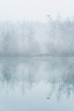 Cormoran par un matin d'hiver dans un étang sur Karin de Jonge
