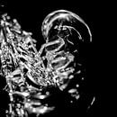 Saxophone en noir et blanc par Celina Dorrestein Aperçu