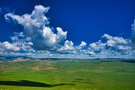 Landschap in Mongolië van Bart Nikkels thumbnail
