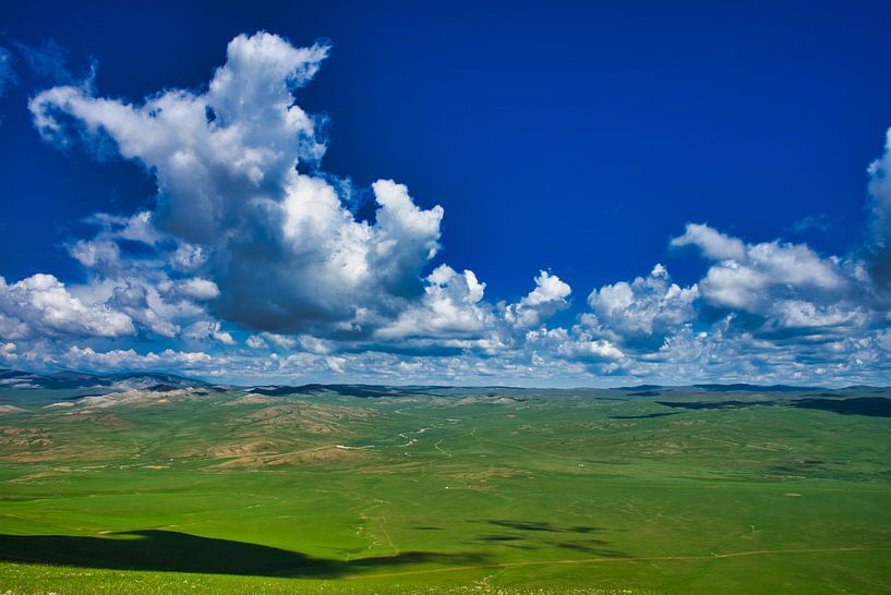 Landschap in Mongolië van Bart Nikkels