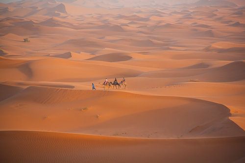 Une caravane dans les dunes dorées du Sahara