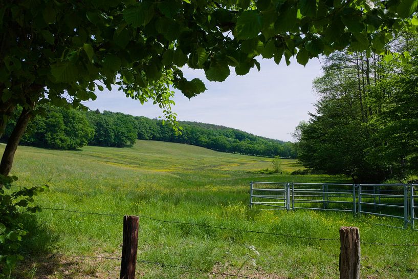 Paysage de printemps des Ardennes par Koen Blancquaert
