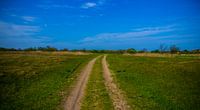Endless Road