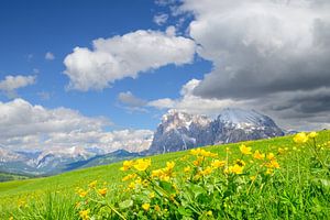 Seiser Alm-Panorama in den Dolomiten im Frühling