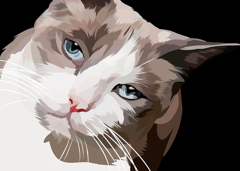 Snowshoe cat in vector by IHSANUDDIN .