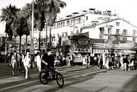 Venice Beach 2 BW, California van Samantha Phung thumbnail