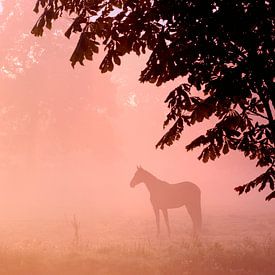 Pferd im Nebel von Nico Garstman