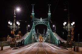 Freiheitsbrücke von Paul Oosterlaak