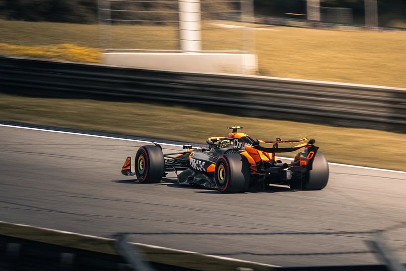 Mclaren MCL 38 Formel 1 Auto von Tobias Wartenberg