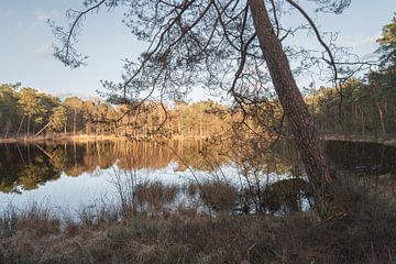 Coucher de soleil à Dwingelderveld, Drenthe - Pays-Bas
