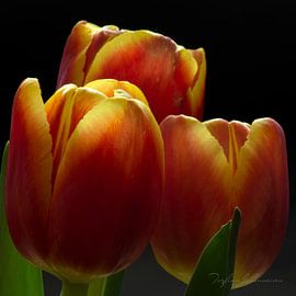 Ménage à trois du matin léger