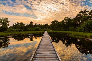 Walkway Reflections