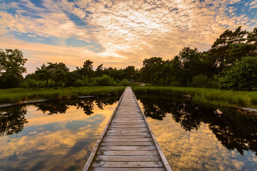 Walkway Reflections by wimke247