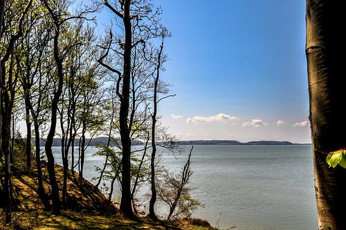 Op de hoge oever bij Lietzow, Great Jasmund Bodden