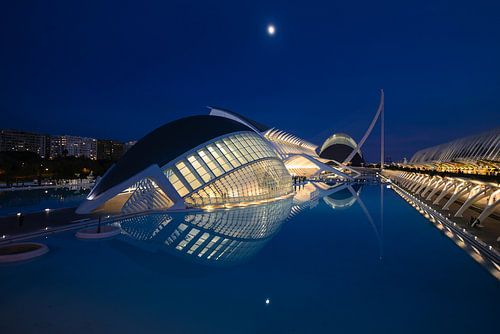 De walvis van licht – Nachtfotografie bij de Stad van Kunsten en Wetenschappen, Valencia