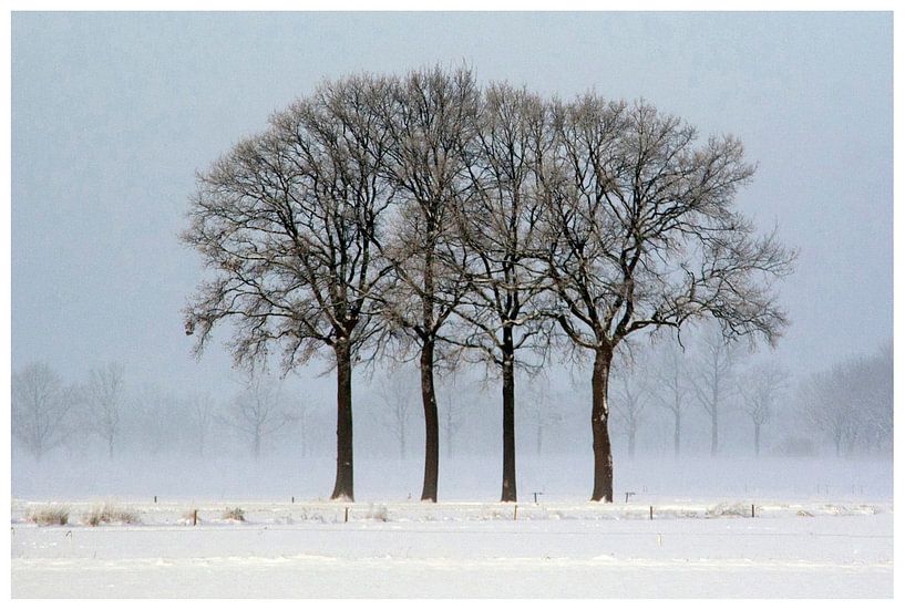 Winter by Jos Jansen