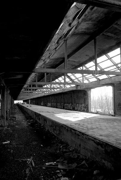 Lines by Femke Krone
