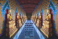 Buddahall