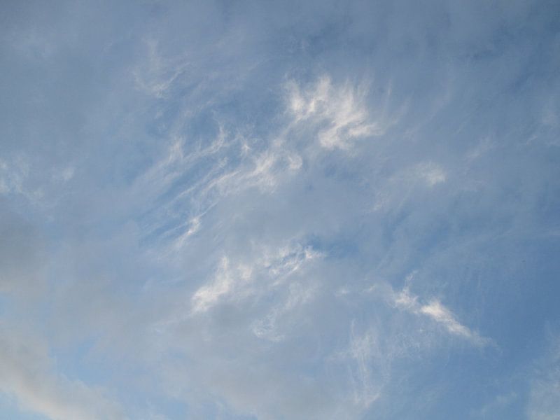 Windwolken von Letty van Dijk