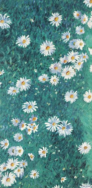 Bed of Daisies, Gustave Caillebotte (4/4) by Masterful Masters