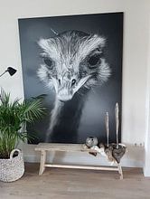 Kundenfoto: Emoe in zwart-wit von Fotografie Jeronimo, auf leinwand