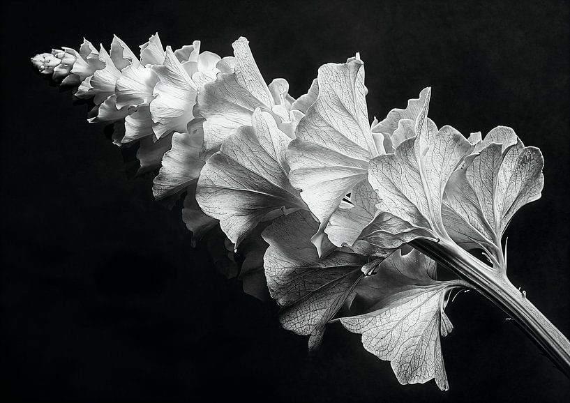 Bloemen - Floral 5 van Sander Hupkes