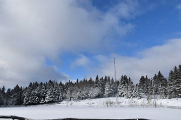 Het recreatieterrein in de winter van Claude Laprise