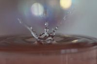 SPLASH 4
