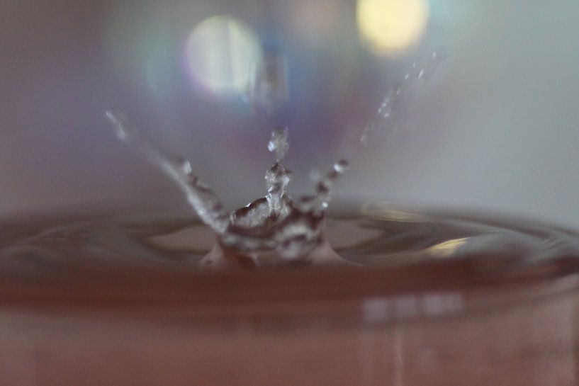 SPLASH 4 by Jeroen de Vries