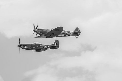 Spitfire & Mustang