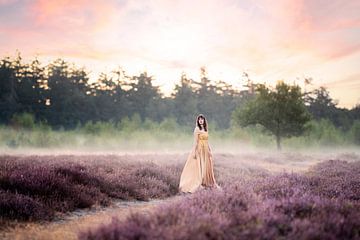 Femme en robe de fée sur des landes violettes