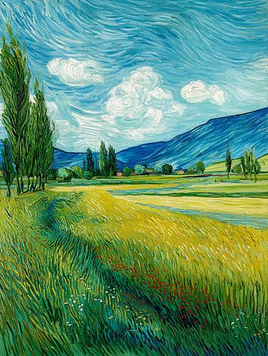 Champs d'été sous un ciel nuageux