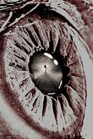 Eye reflection - in kleur