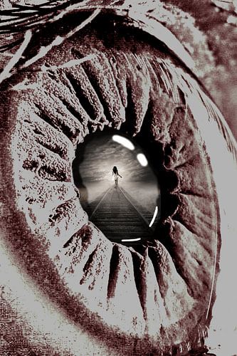 Augenreflexion - in Farbe