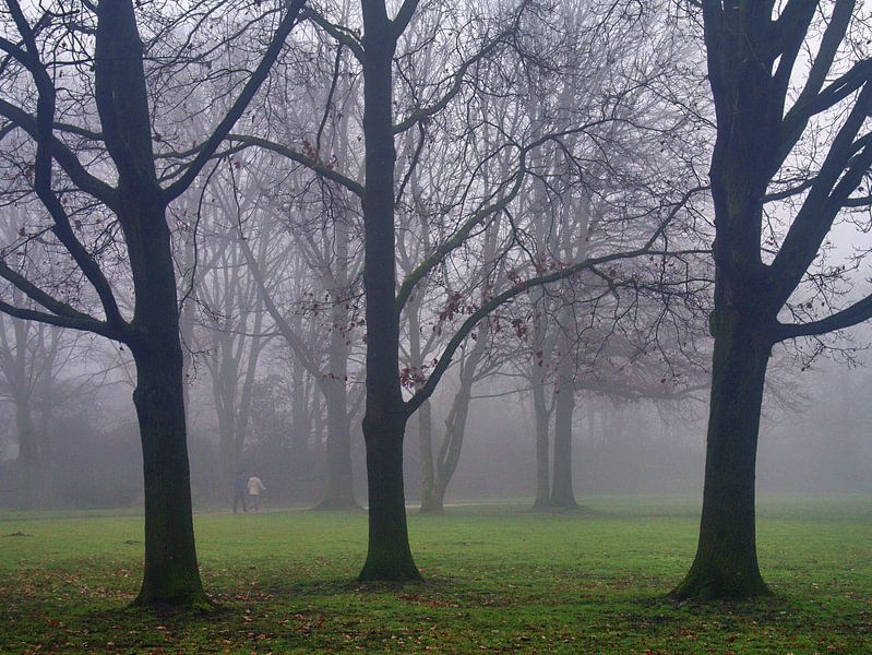 Mist 25 van Edgar Schermaul